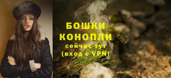 PSILOCYBIN Арсеньев