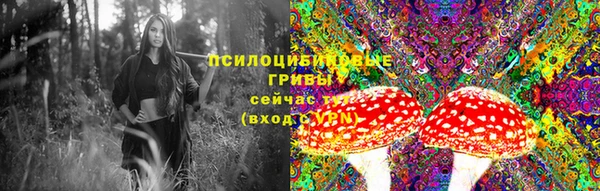 ECSTASY Армянск