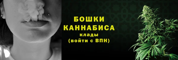 мдпв Касимов
