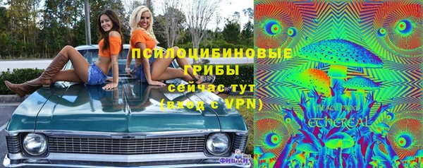 индика Алексеевка