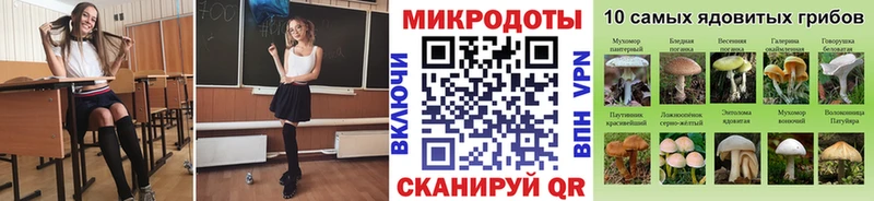 Псилоцибиновые грибы GOLDEN TEACHER  Лесной 