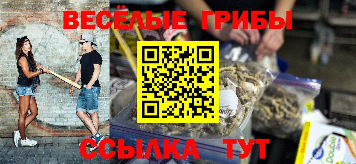 Псилоцибиновые грибы MAGIC MUSHROOMS Лесной