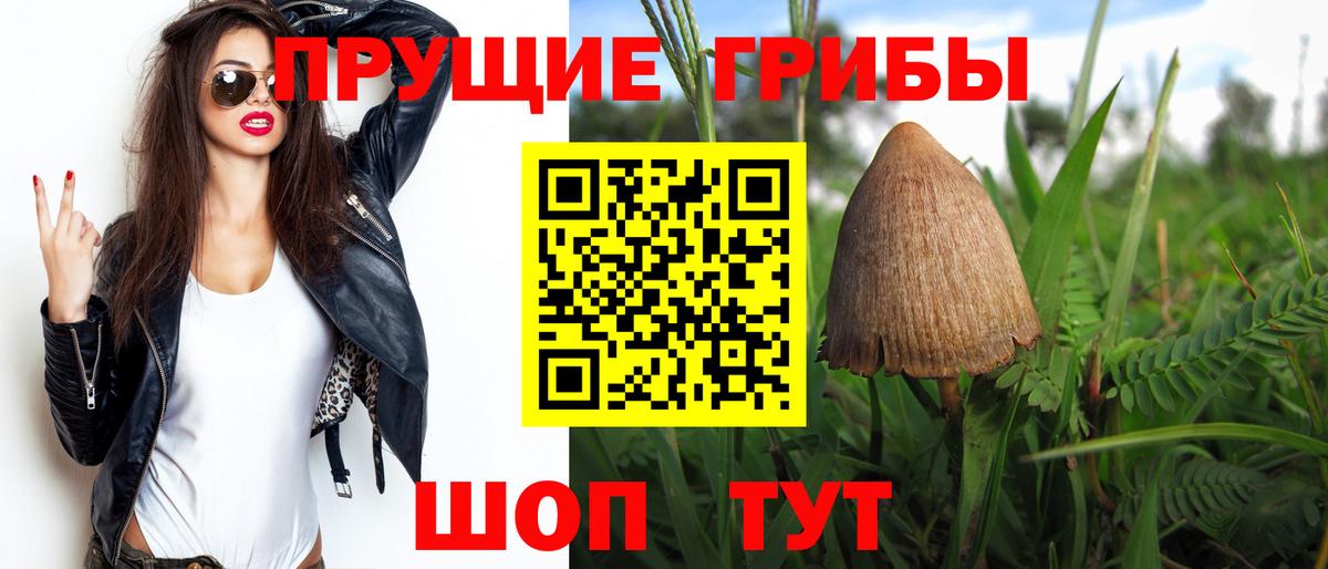 Лесной  Псилоцибиновые грибы GOLDEN TEACHER  Вход с VPN  закладки  Псилоцибиновые грибы Magic Shrooms 